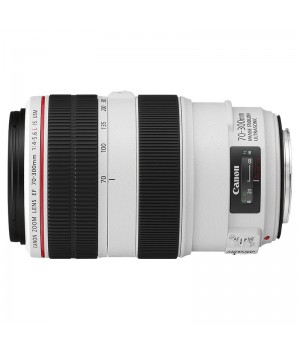 Объектив Canon EF 70-300 mm f/4-5.6L IS USM (4426B005)
