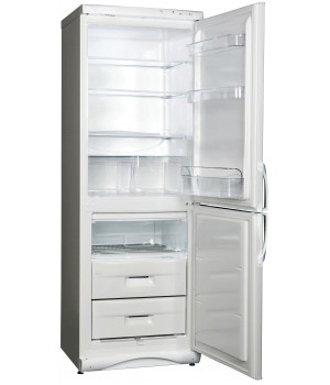 Холодильник Snaige RF310-1803AA